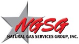 ngsgi logo